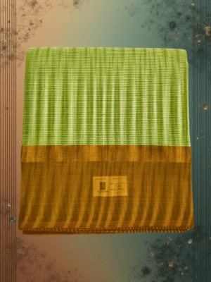 Pure Handloom Cotton Saree: Fresh Light Green Stripes with Earthy Brown Border