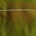 PARROTGREEN